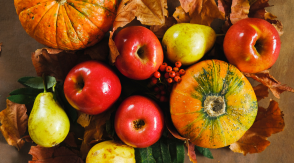 automne petit