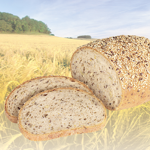 Image for BALLASTRA FIT 50 OS MERKENBROOD