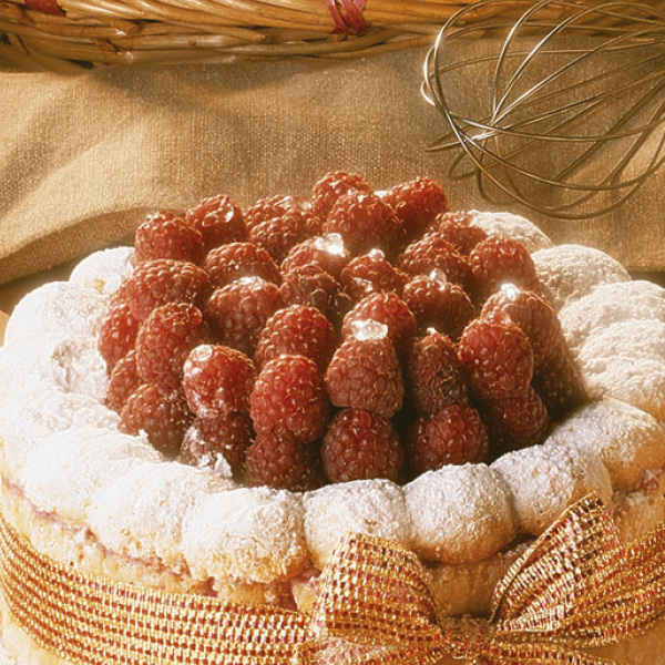 Image for FRAMBOZENMOUSSE 6X1KG