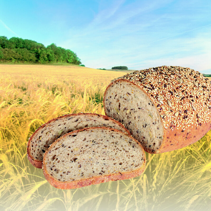 Image for Brood, 600 g met BALLASTRA FIT 50