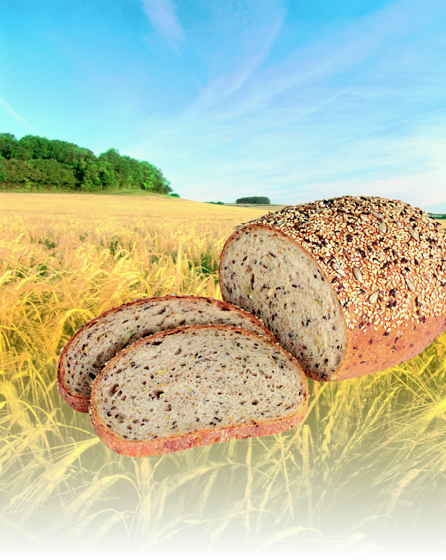 Image for Brood, 600 g met BALLASTRA FIT 50