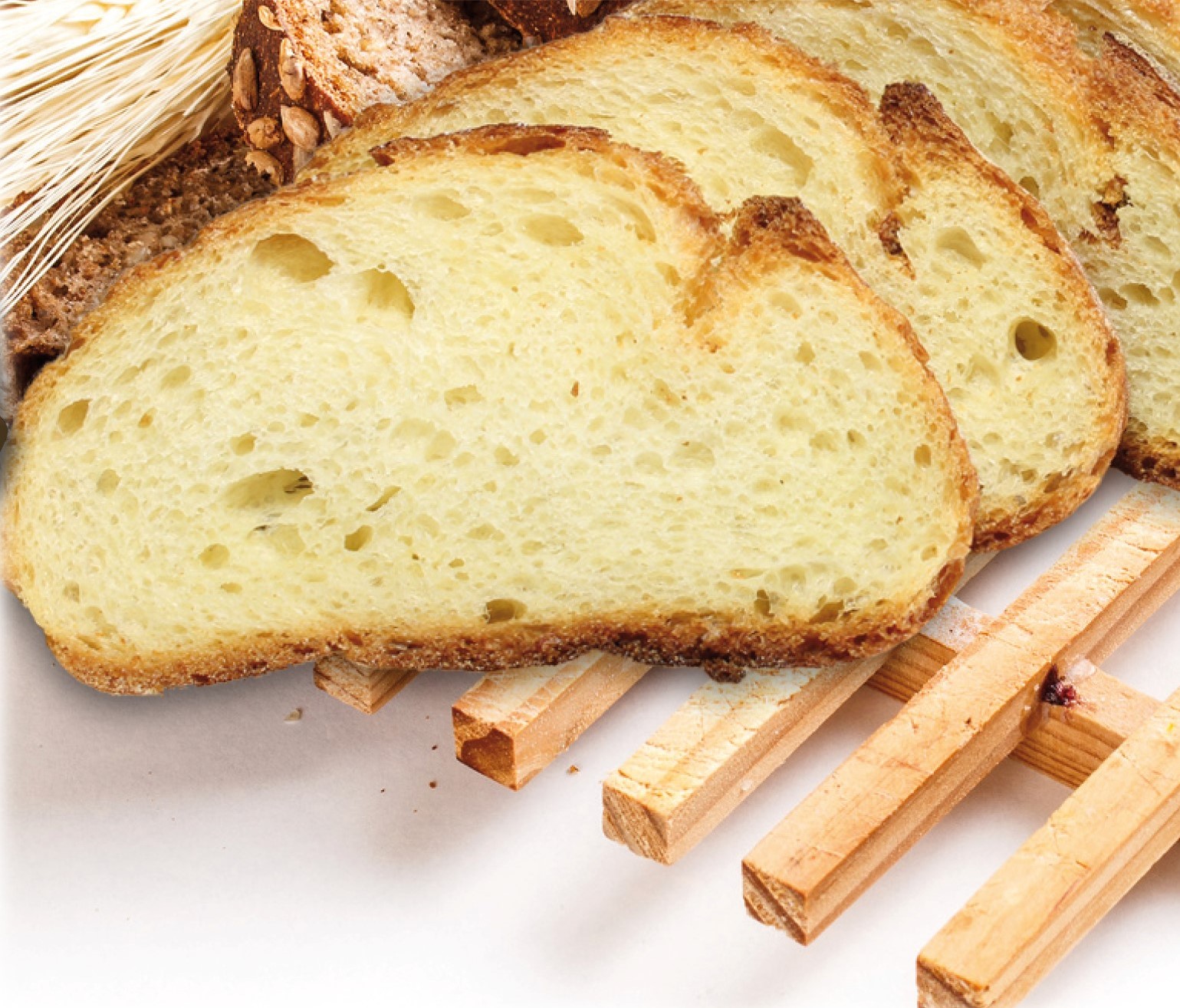 Image for PAN DORO